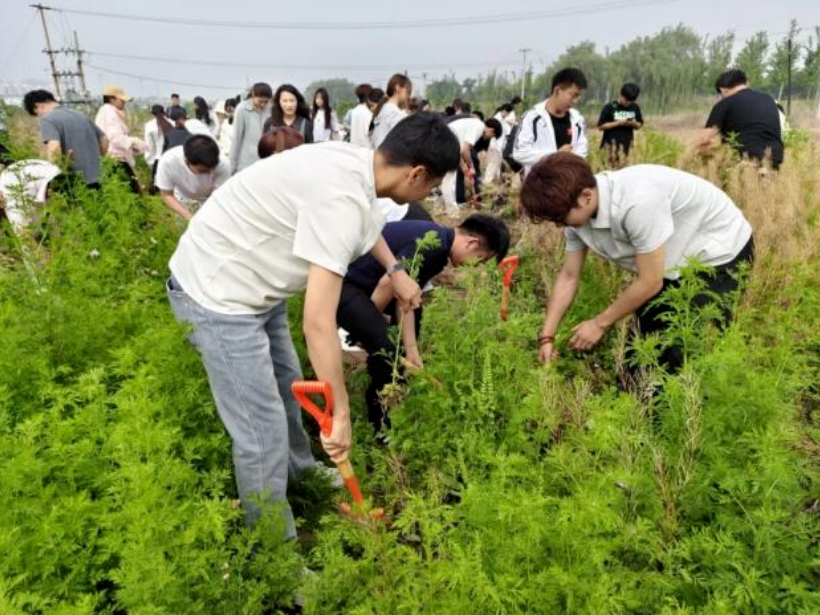 勞作知成本  實操學財會——會計學院開展勞動教育專業實踐活動