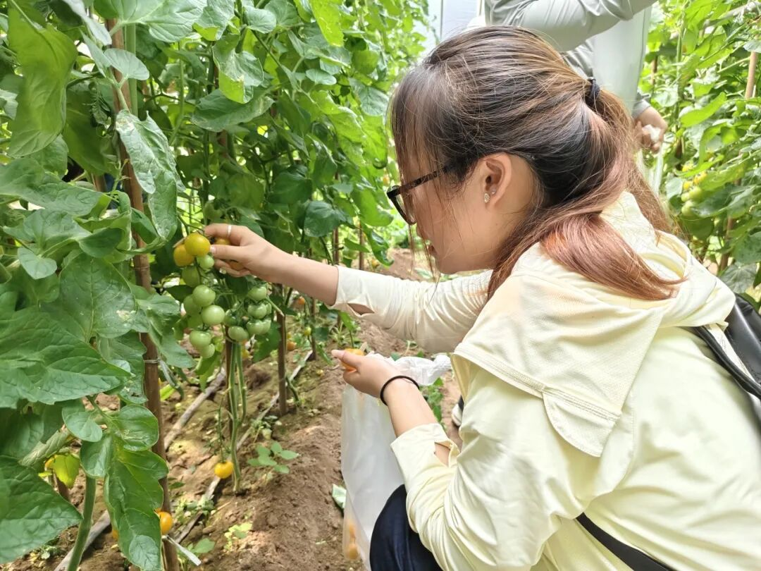 勞作知成本  實操學財會——會計學院開展勞動教育專業實踐活動