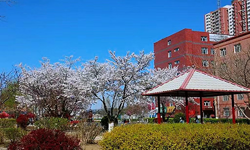 校園環境7